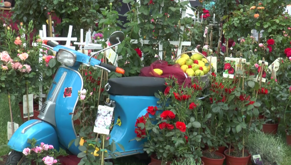 Vorschaubild des Beitrags