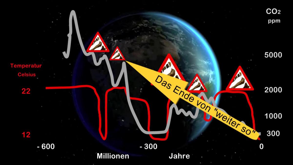 Vorschaubild des Beitrags