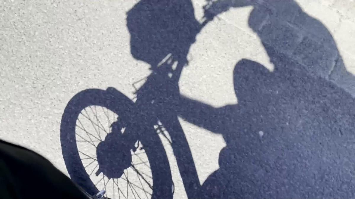 Vorschaubild des Beitrags