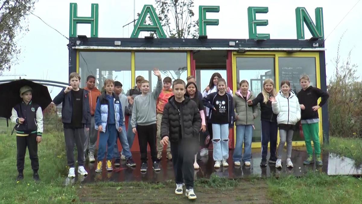 Vorschaubild des Beitrags