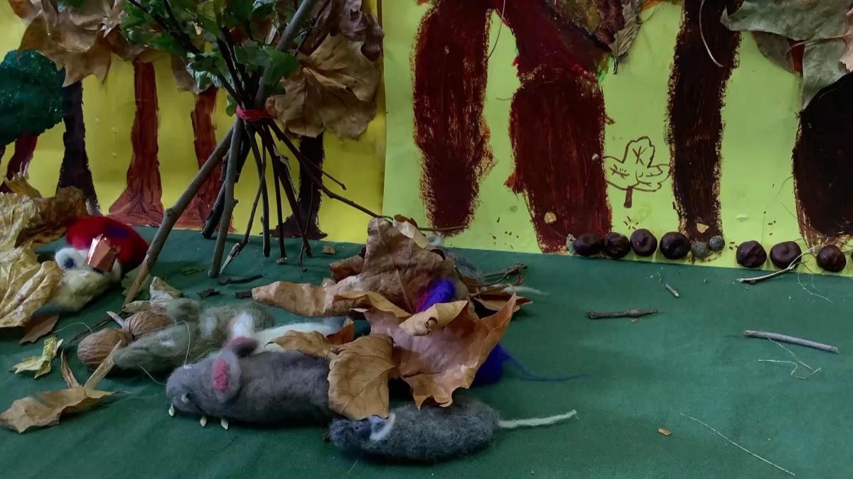 Vorschaubild des Beitrags