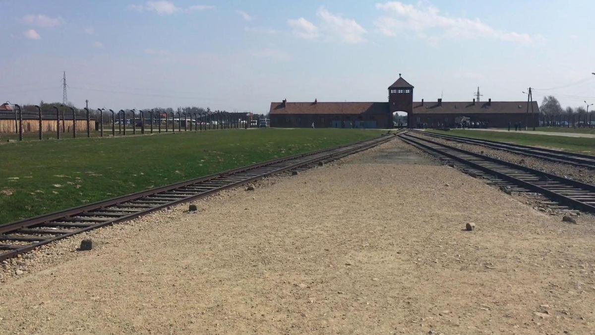 Vorschaubild des Beitrags